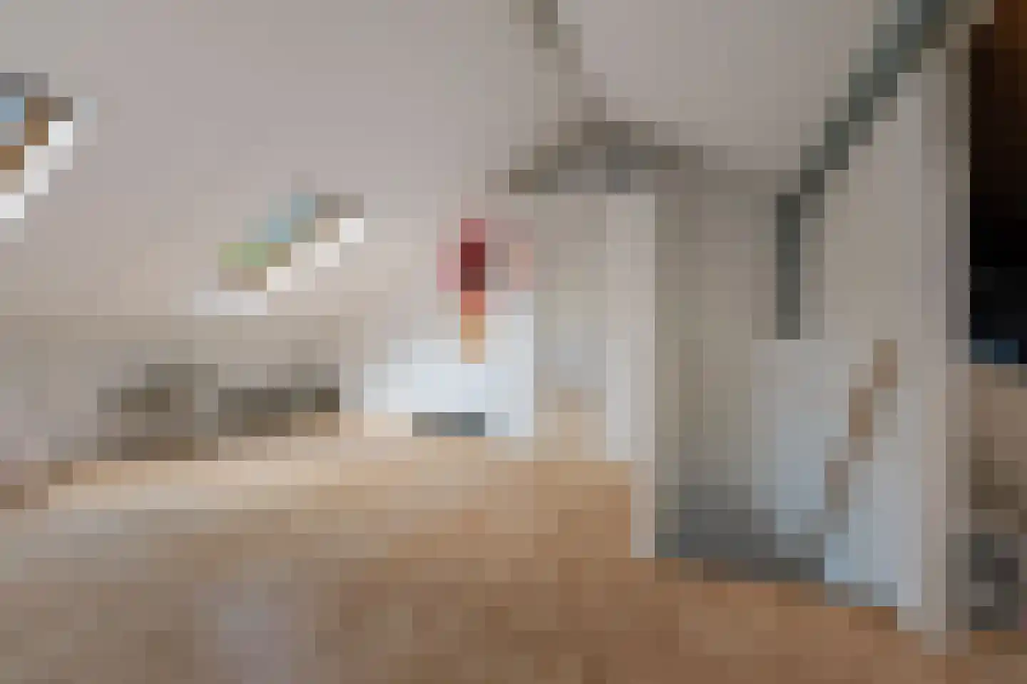 Albertus van Leusenweg 5 Deventer thumbnail 25