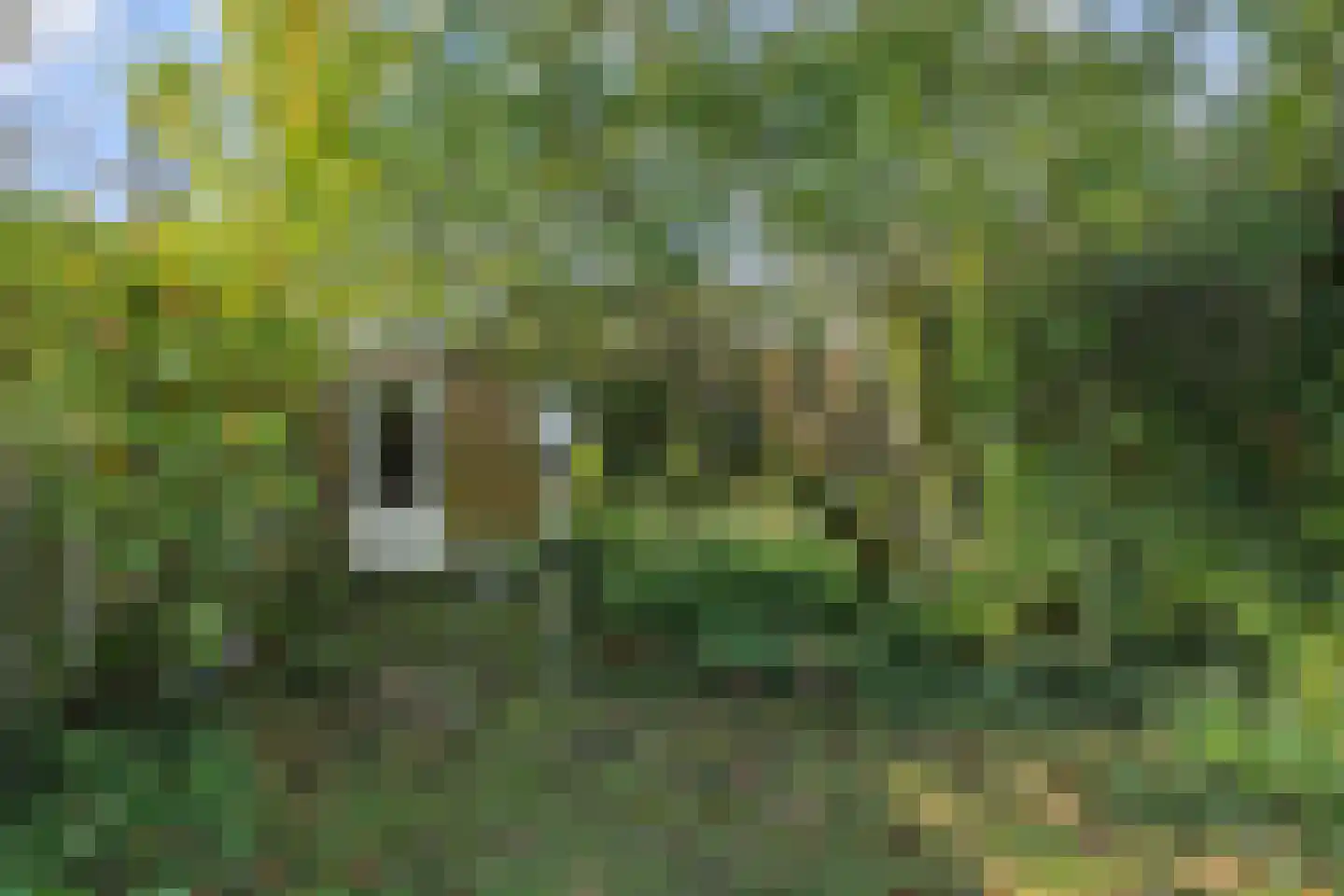 Albertusstraat 5 Vught thumbnail 39