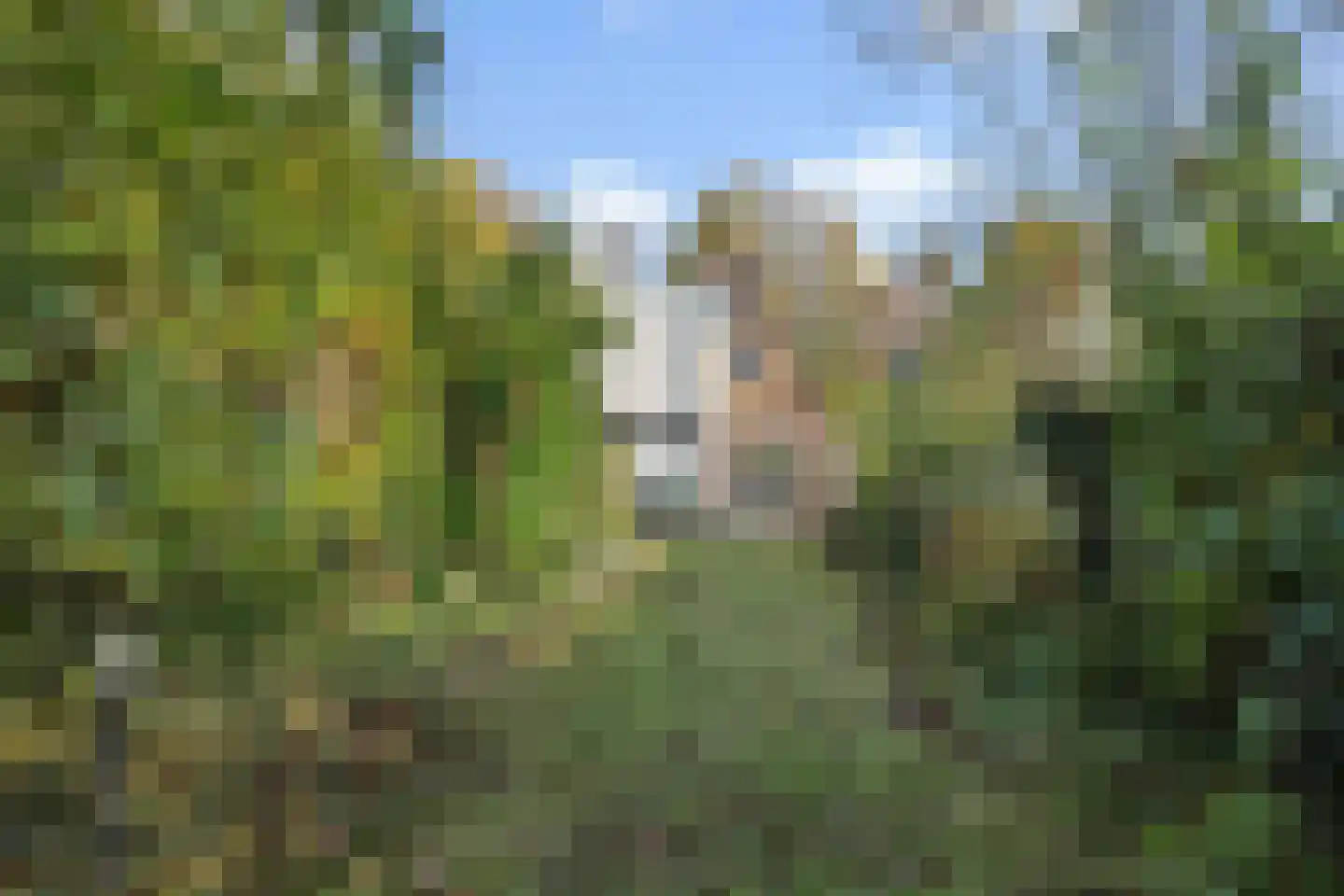 Albertusstraat 5 Vught thumbnail 41
