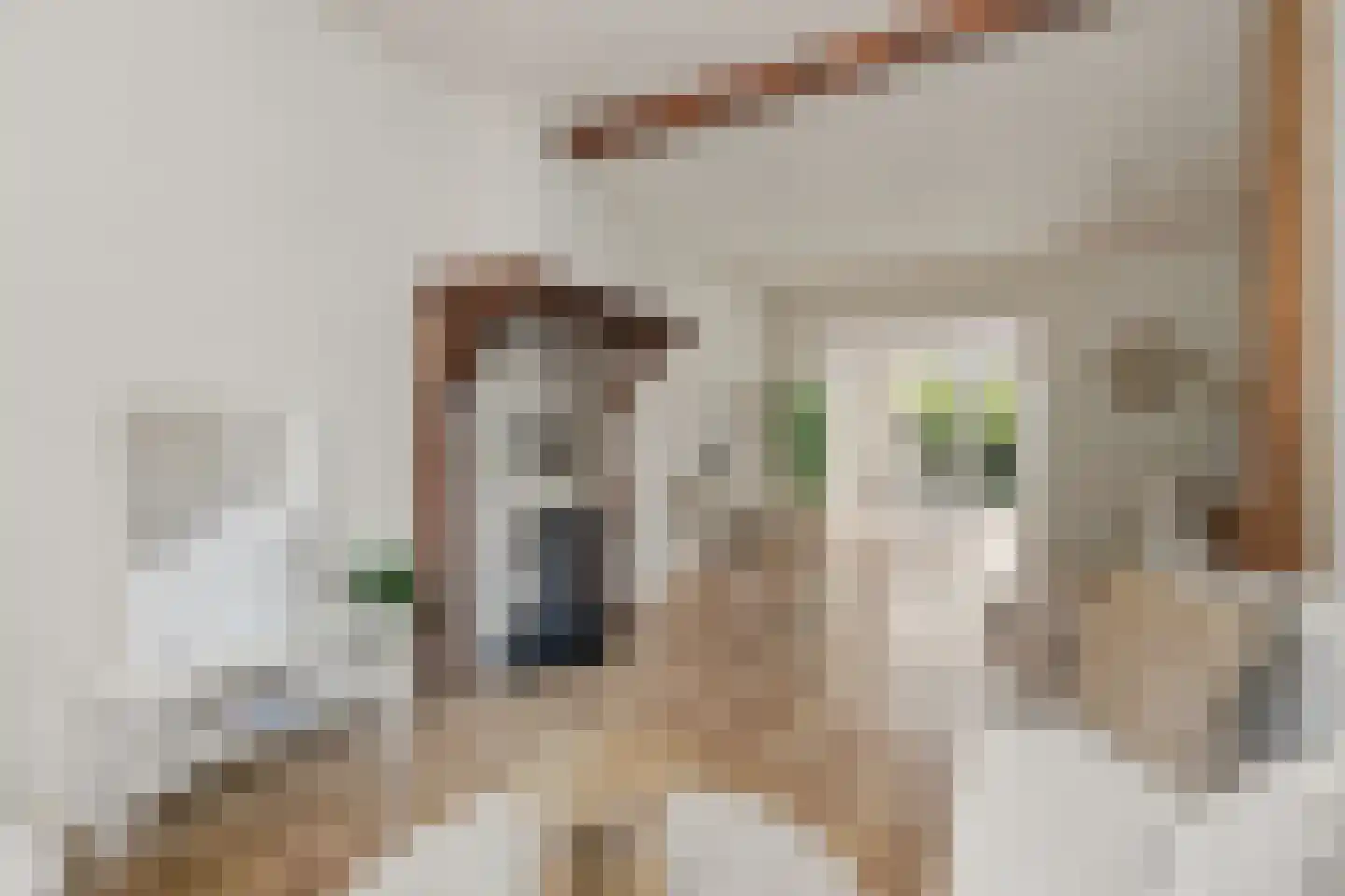 Albertusstraat 5 Vught thumbnail 5