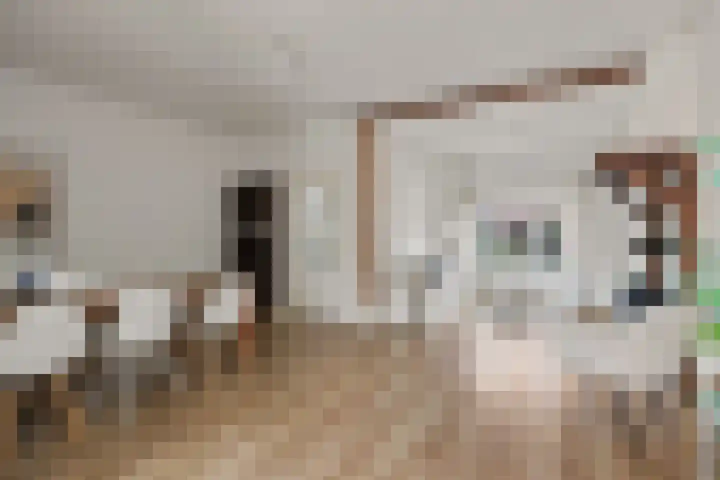 Albertusstraat 5 Vught thumbnail 9