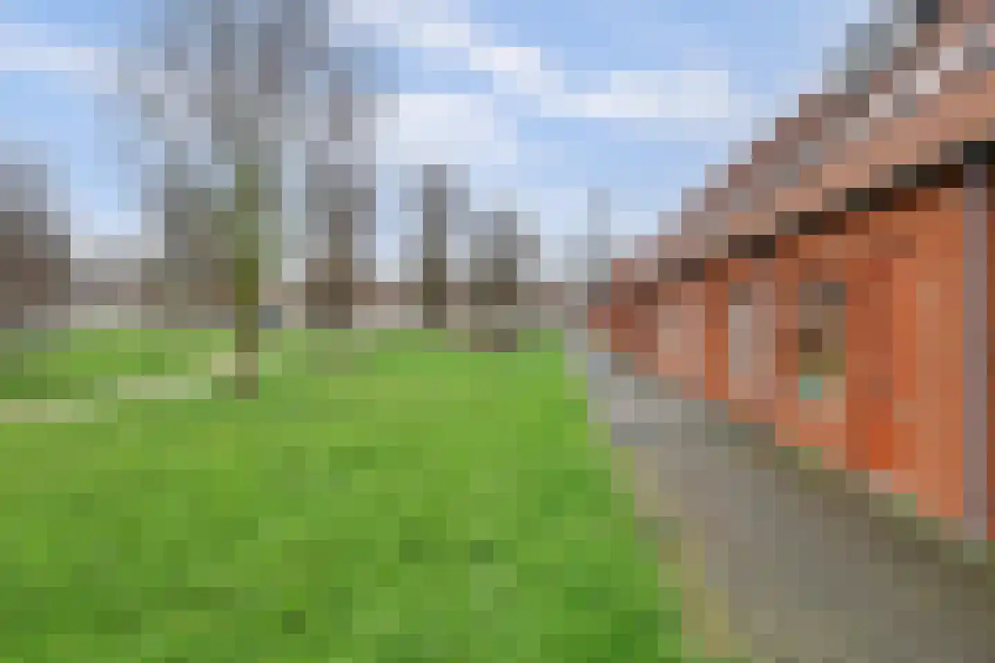 Albertvillelaan 43 Nieuw-Vennep thumbnail 5