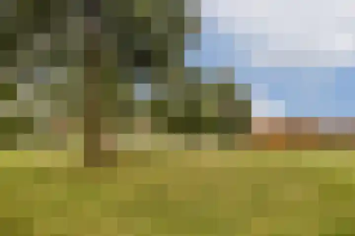 Albertvillelaan 57 Nieuw-Vennep thumbnail 19