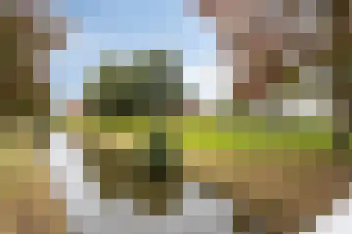 Albertvillelaan 63 Nieuw-Vennep thumbnail 43
