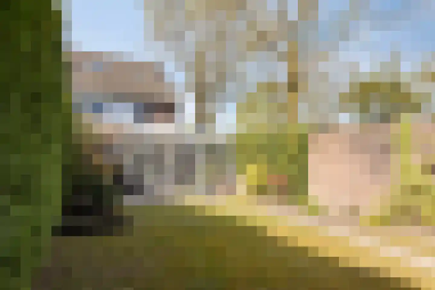 Albilaan 1 Eindhoven thumbnail 30