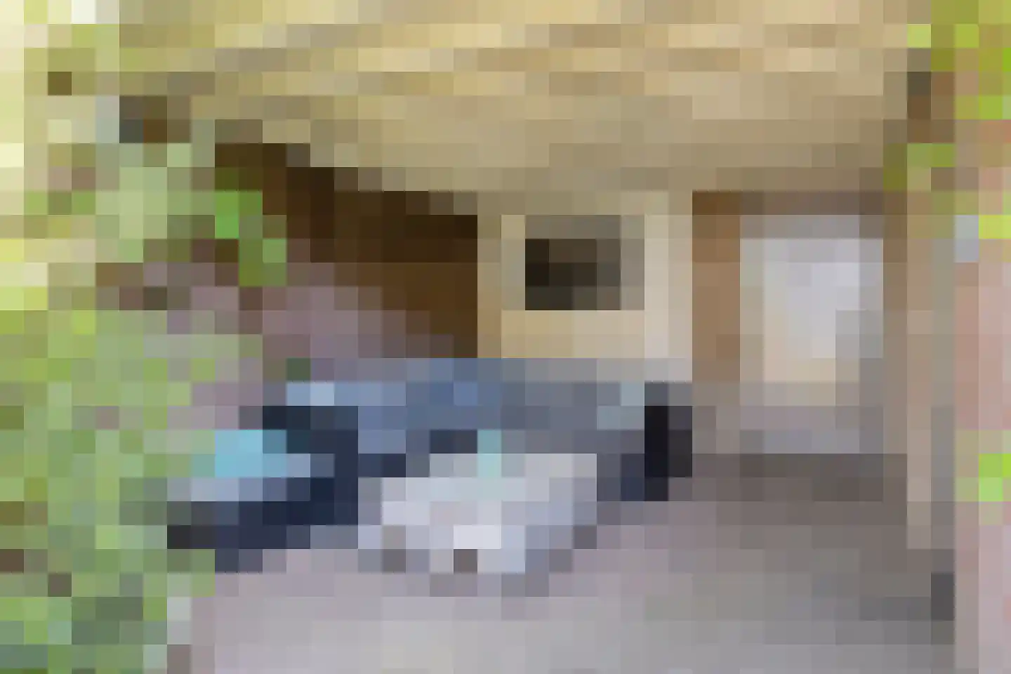 Albilaan 1 Eindhoven thumbnail 33