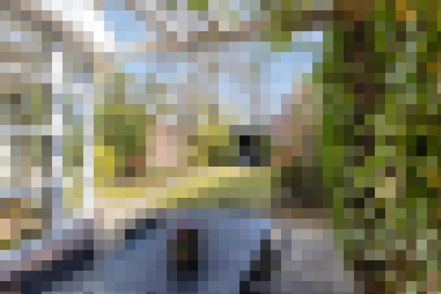 Albilaan 1 Eindhoven thumbnail 34