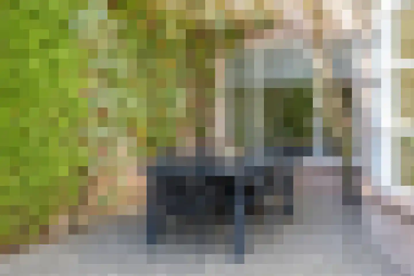 Albilaan 1 Eindhoven thumbnail 35