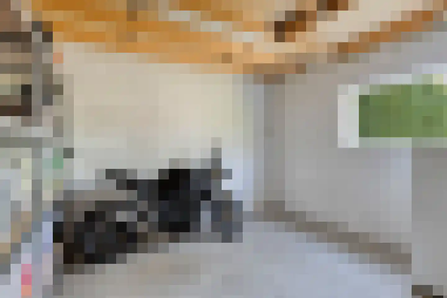 Albilaan 1 Eindhoven thumbnail 37