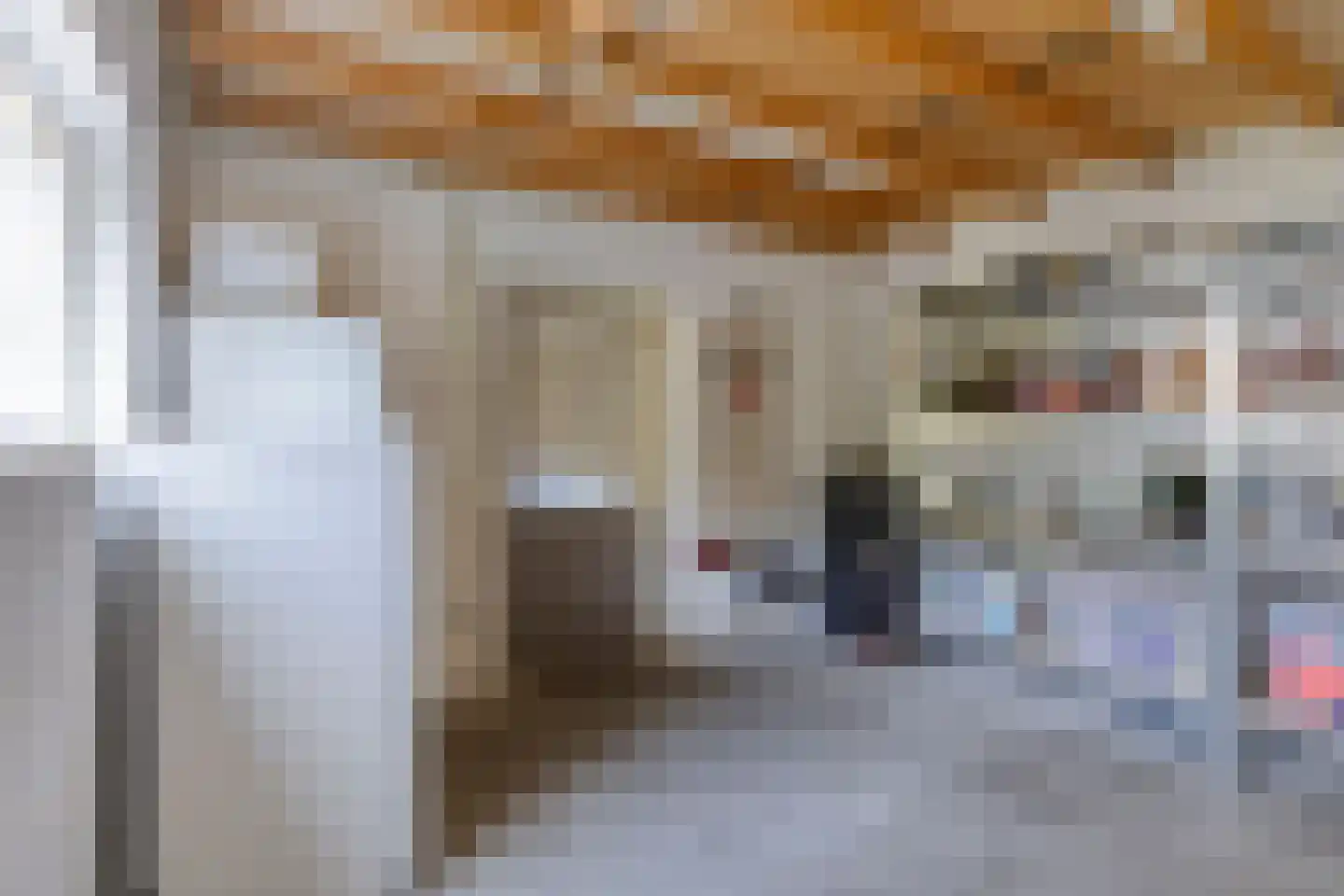 Albilaan 1 Eindhoven thumbnail 38