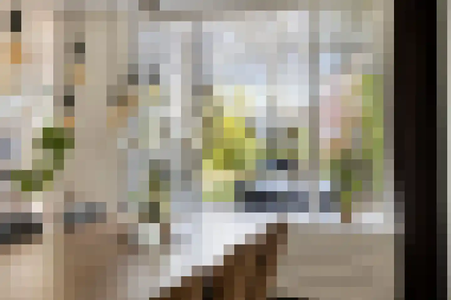 Albilaan 1 Eindhoven thumbnail 4
