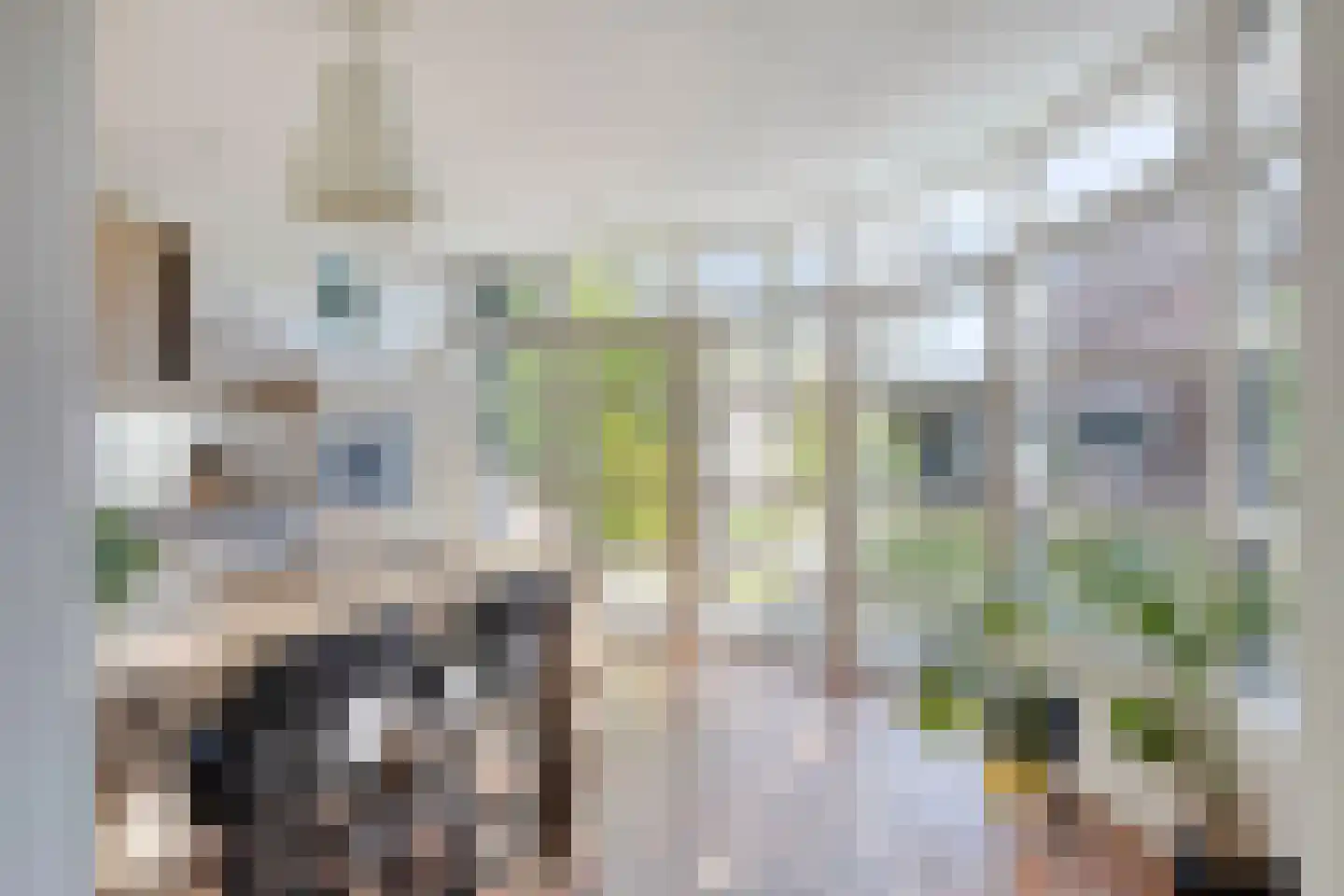 Albilaan 1 Eindhoven thumbnail 5