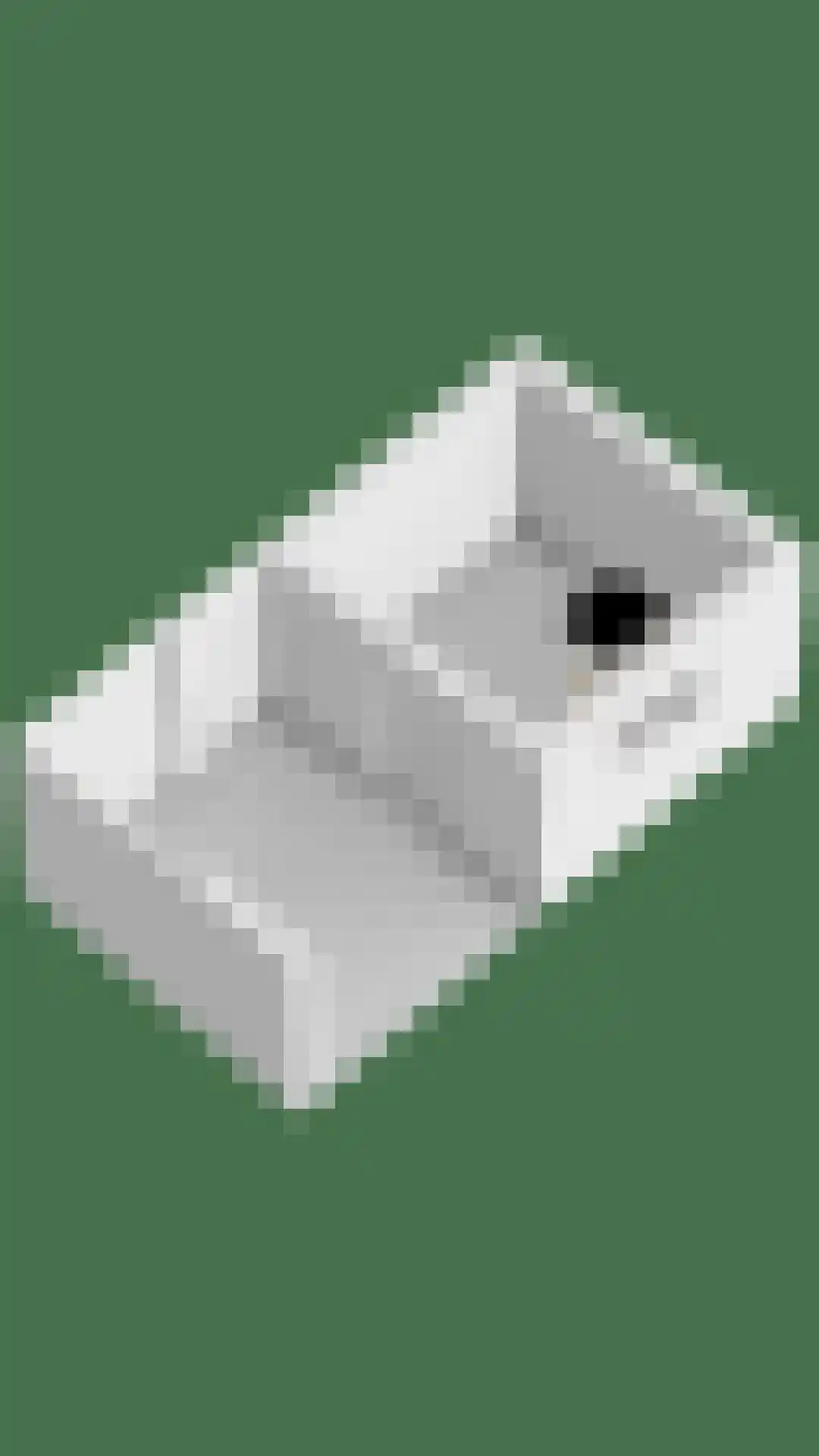 Albilaan 1 Eindhoven thumbnail 51