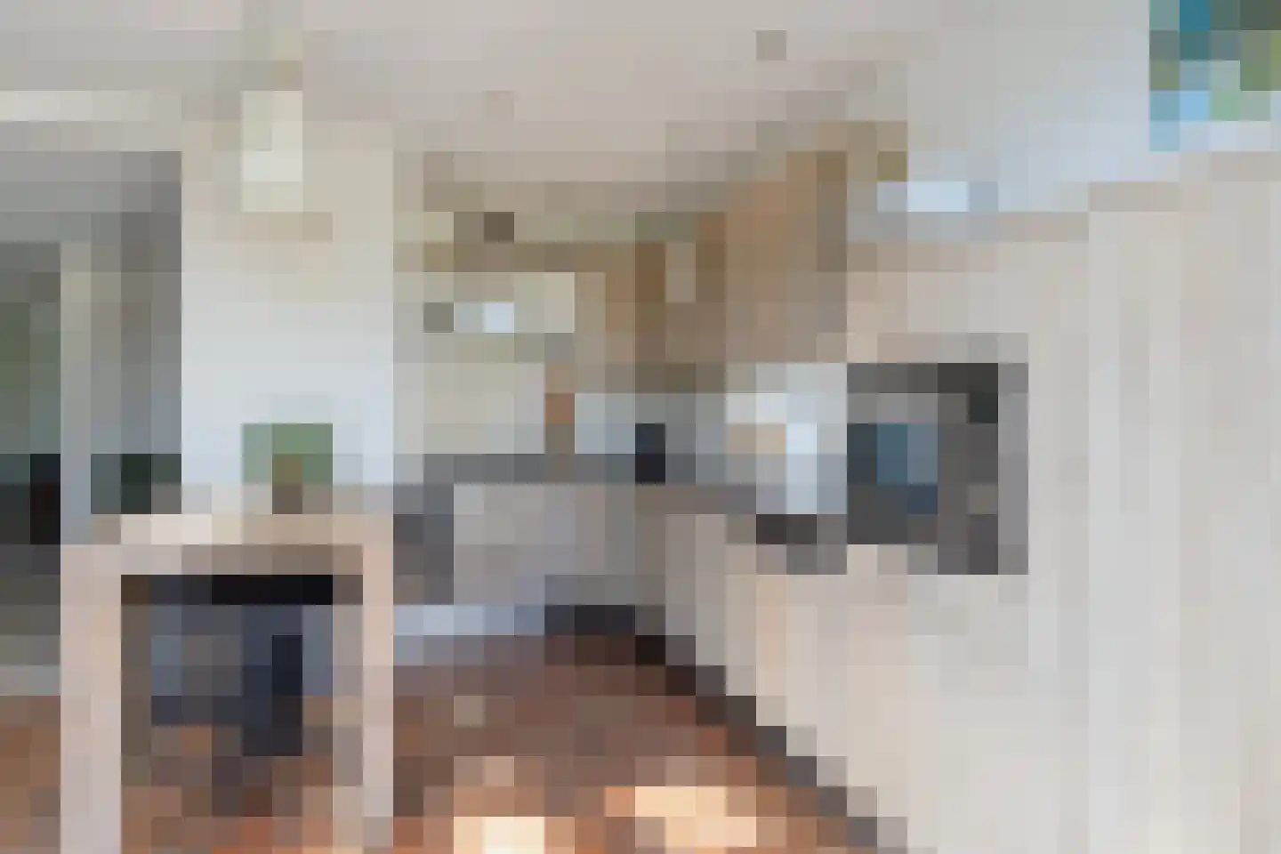 Albilaan 1 Eindhoven thumbnail 9