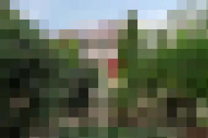 Albinonistraat 102 Boxtel thumbnail 40