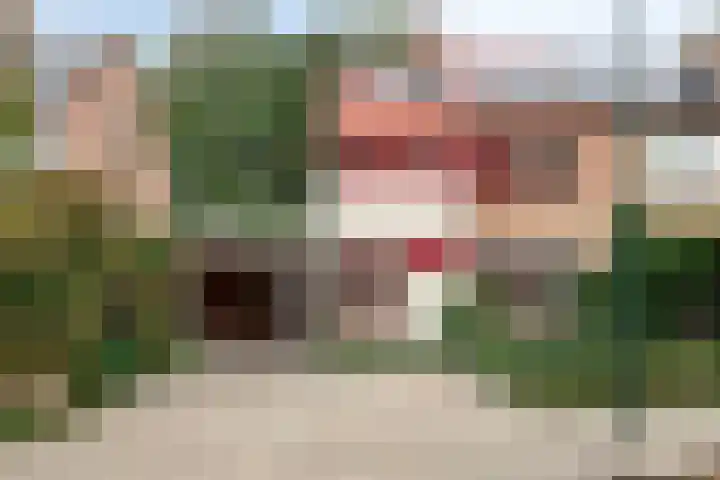 Albinonistraat 102 Boxtel thumbnail 8