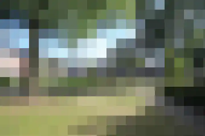 Albinonistraat 129 Boxtel thumbnail 43