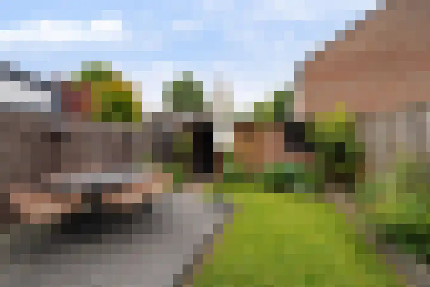 Albinonistraat 139 Boxtel thumbnail 47