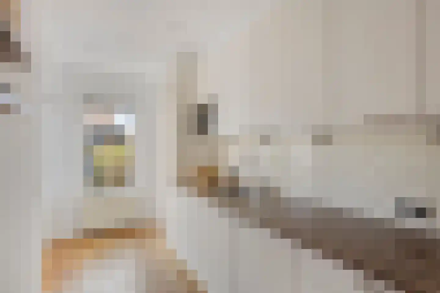 Albinonistraat 141 Boxtel thumbnail 11