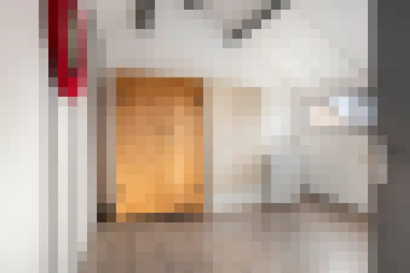 Albinonistraat 141 Boxtel thumbnail 24