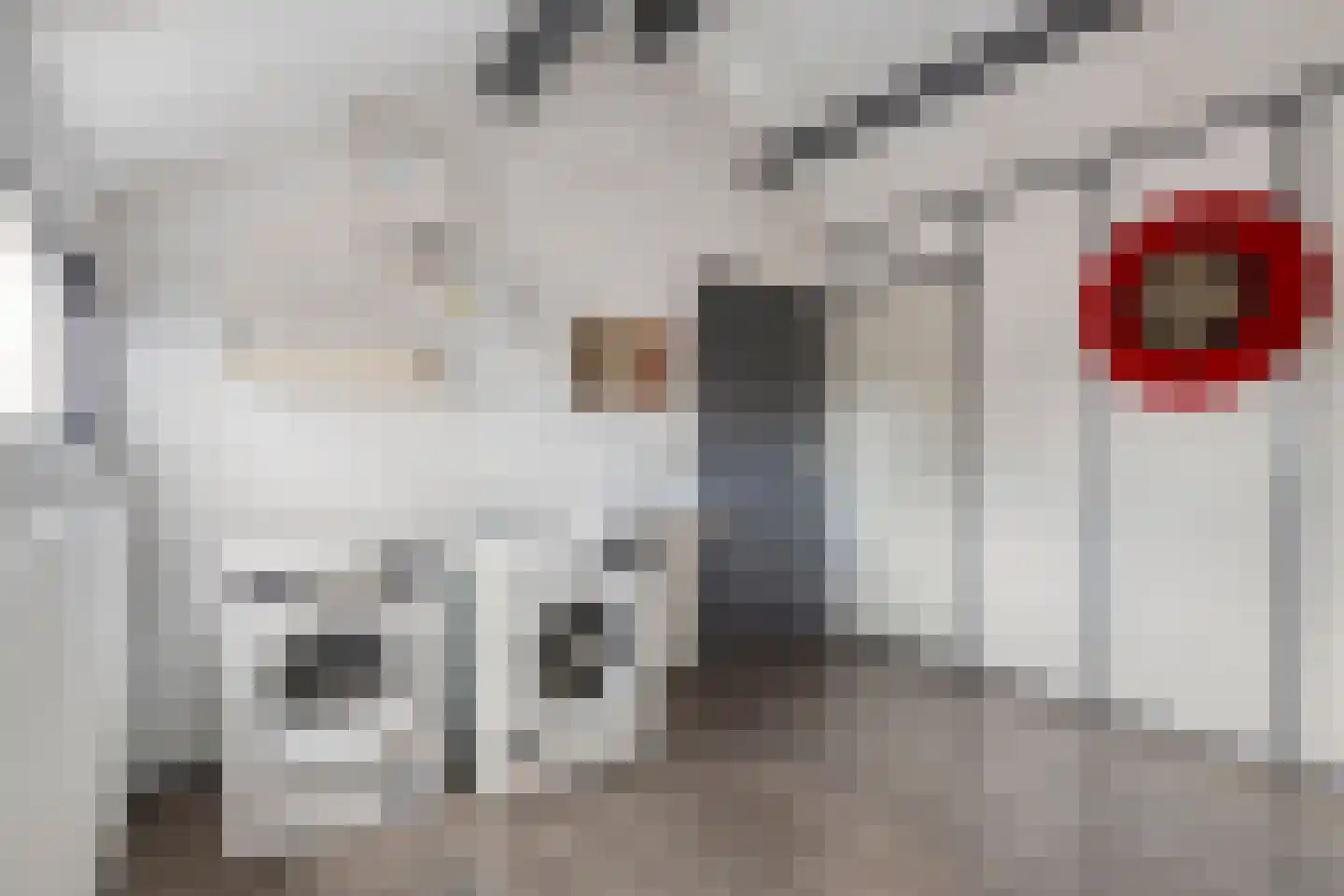Albinonistraat 141 Boxtel thumbnail 25