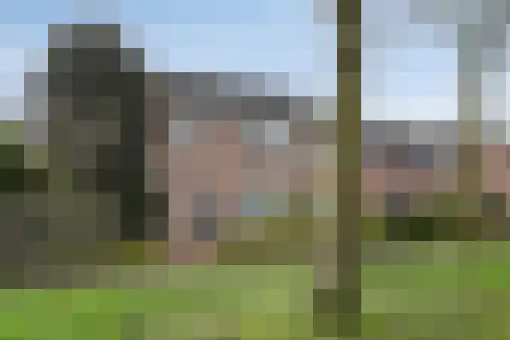 Albinonistraat 41 Boxtel thumbnail 36