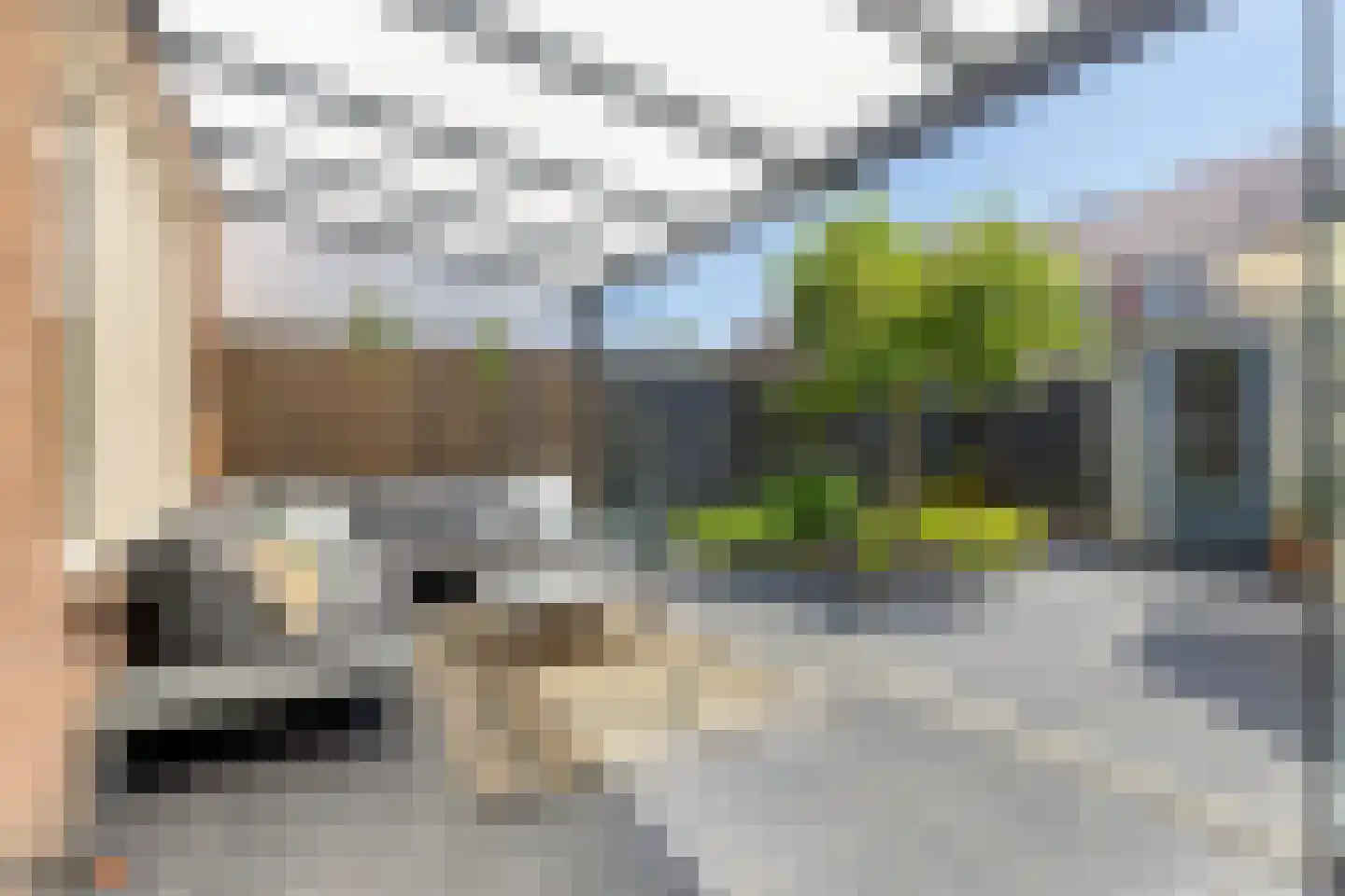 Albinonistraat 47 Boxtel thumbnail 5