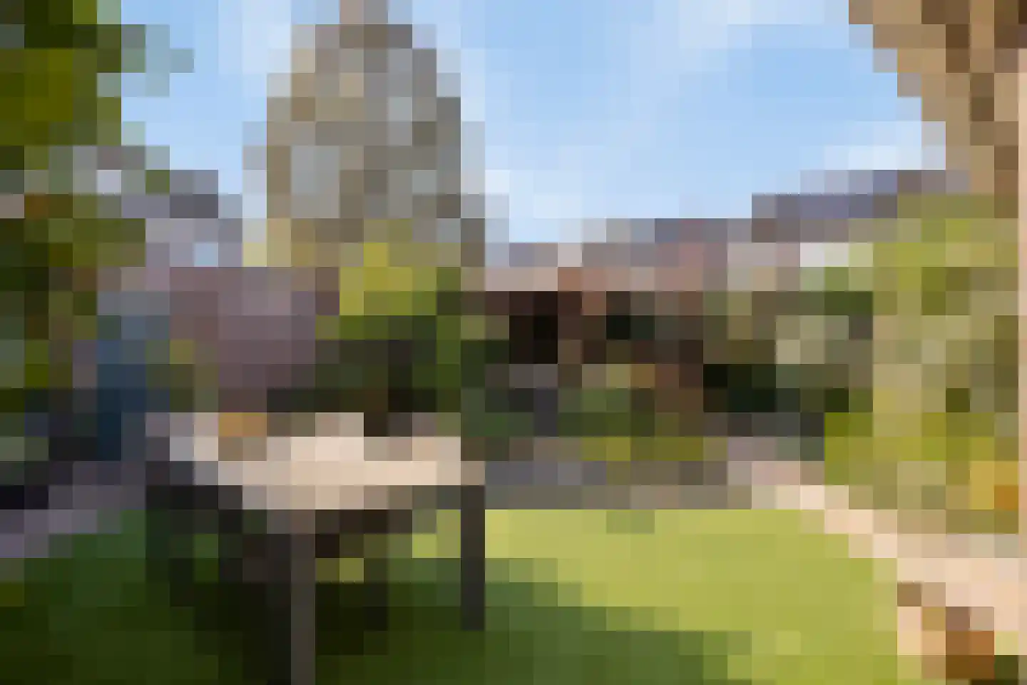 Albinonistraat 55 Boxtel thumbnail 24
