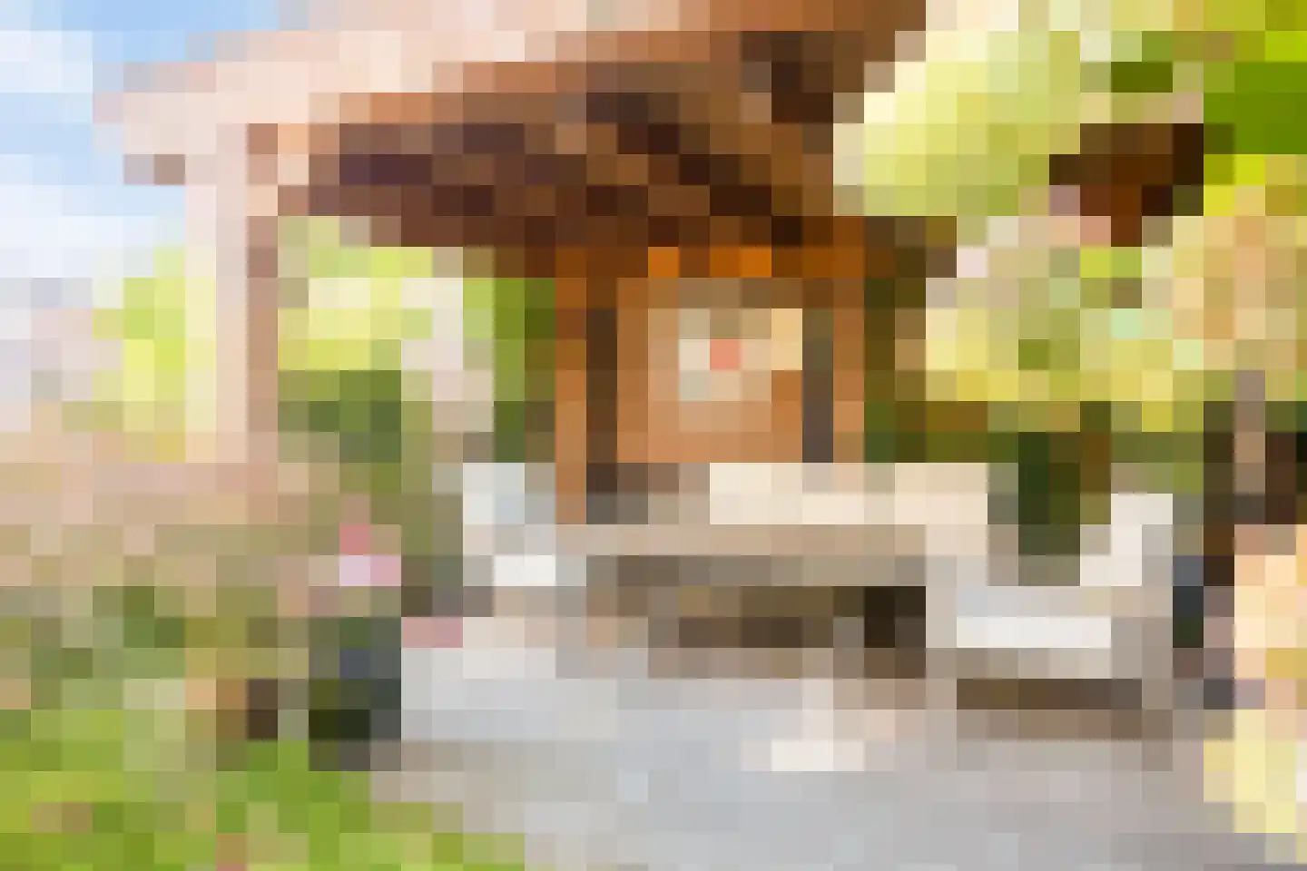 Albinonistraat 55 Boxtel thumbnail 27