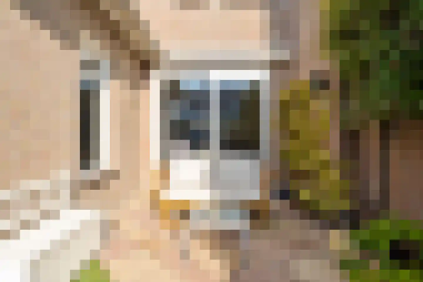 Albinonistraat 55 Boxtel thumbnail 29
