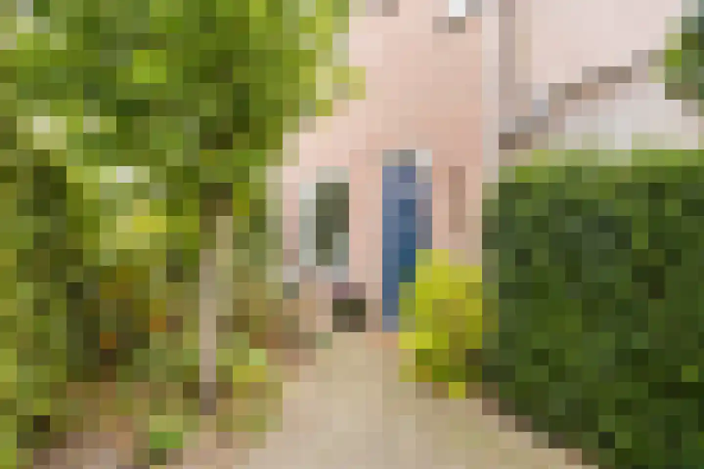 Albinonistraat 55 Boxtel thumbnail 4