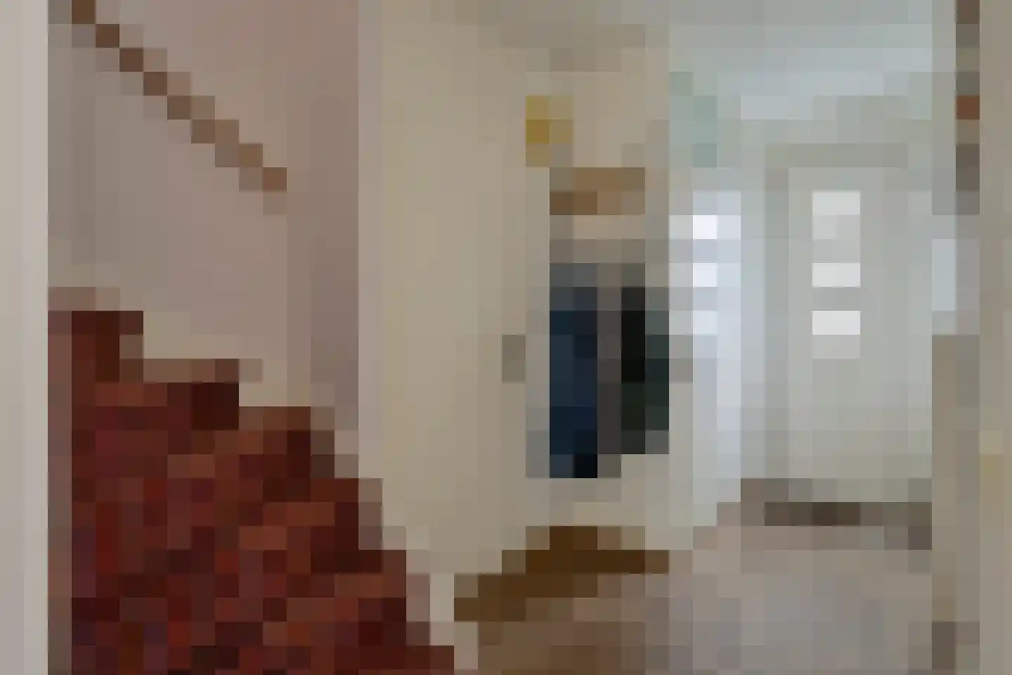 Albinonistraat 55 Boxtel thumbnail 5