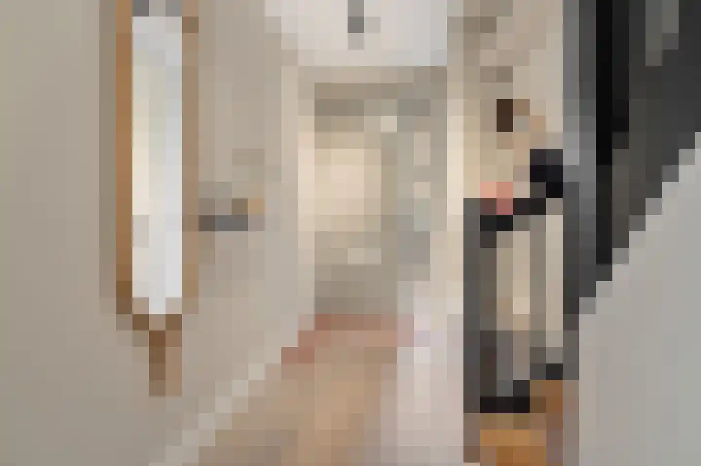 Albinusstraat 12 Rotterdam thumbnail 10