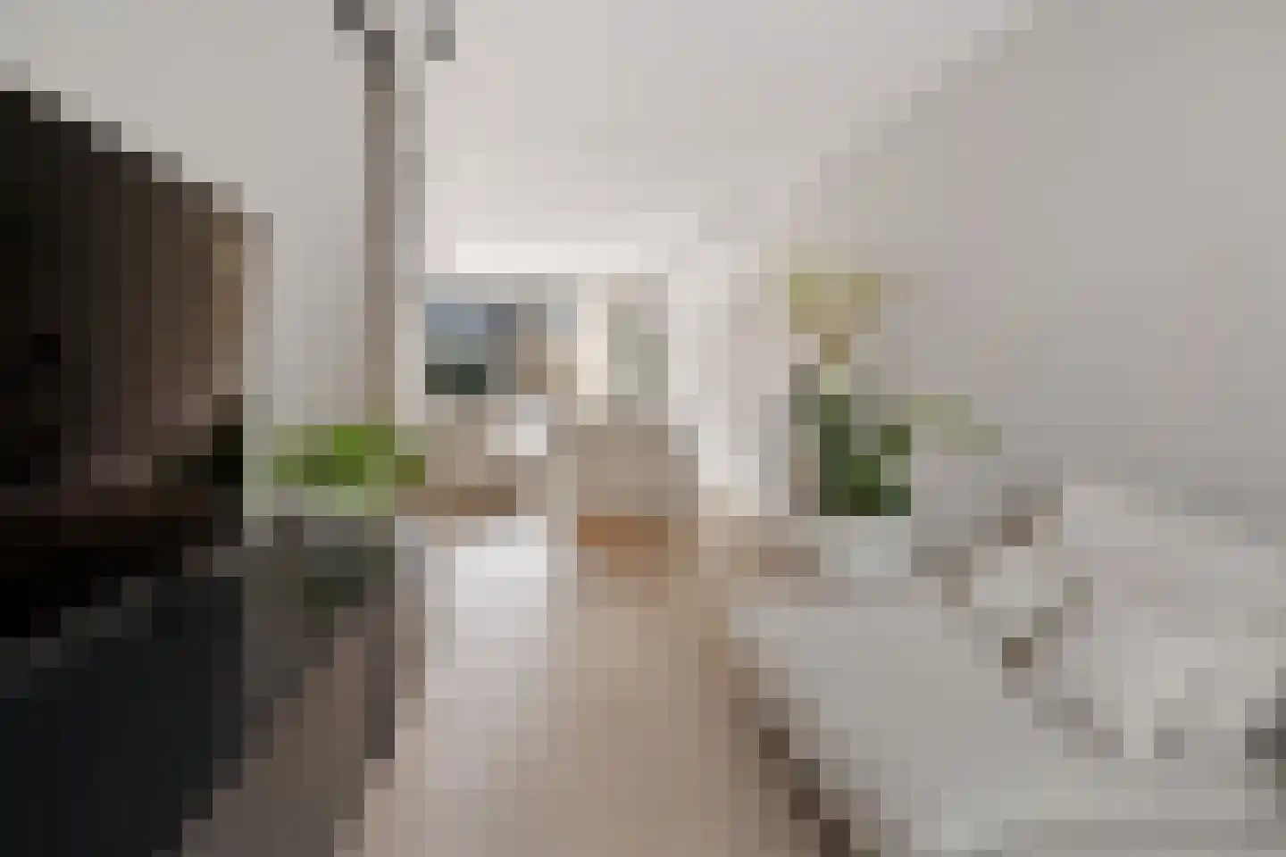Albinusstraat 12 Rotterdam thumbnail 17