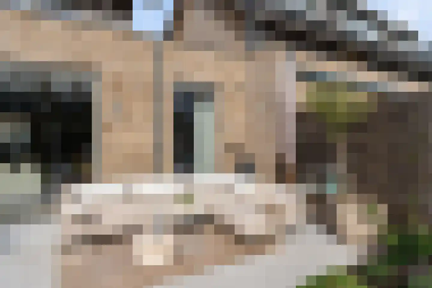 Albinusstraat 12 Rotterdam thumbnail 29