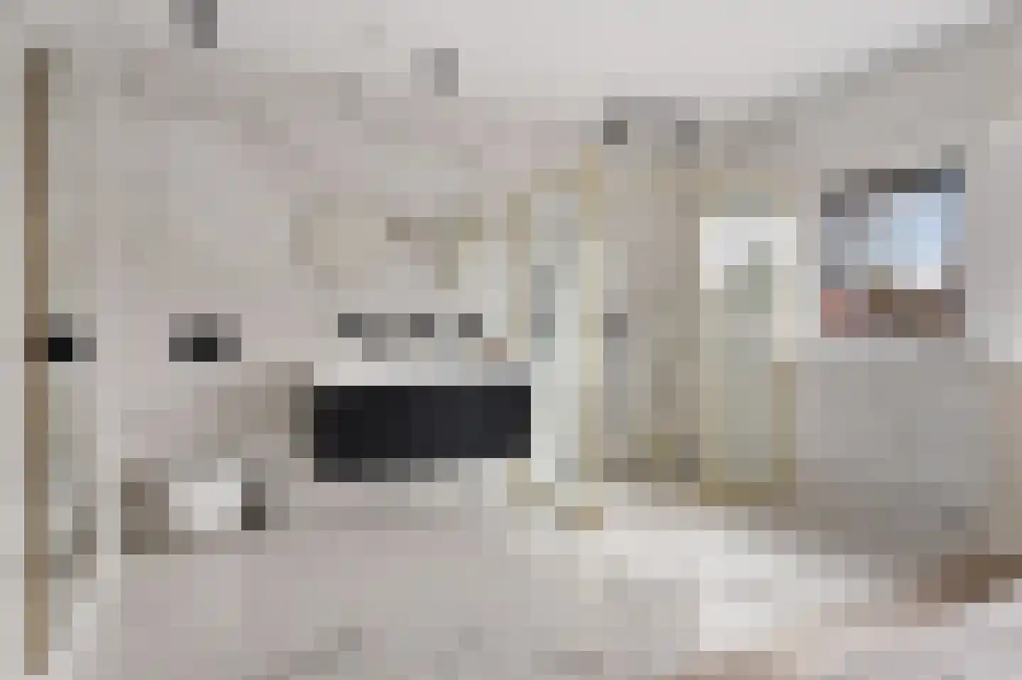 Albinusstraat 12 Rotterdam thumbnail 45