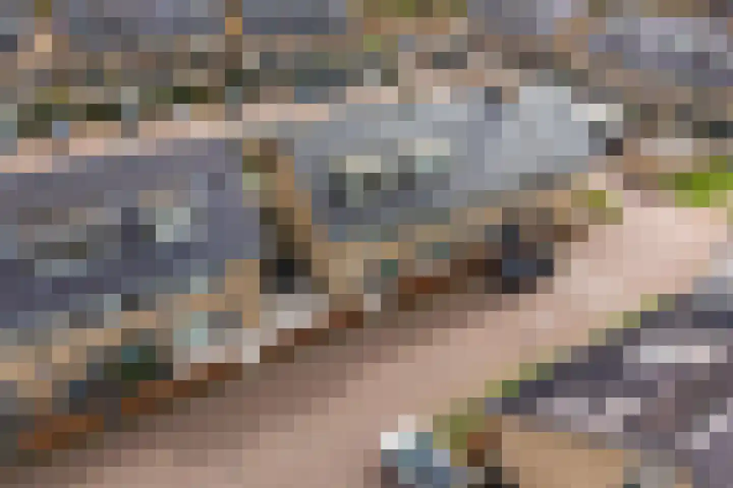 Albinusstraat 12 Rotterdam thumbnail 5