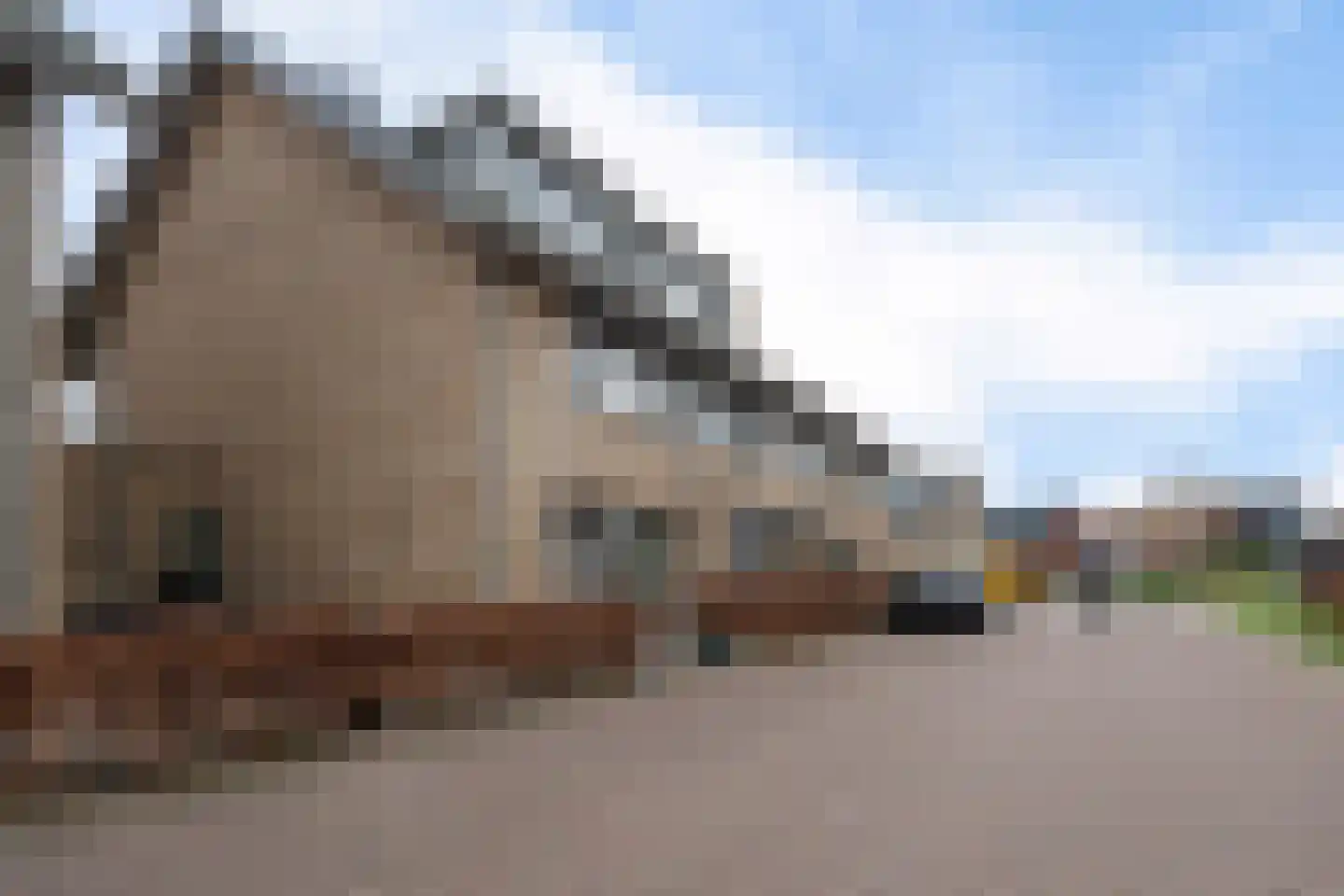 Albinusstraat 12 Rotterdam thumbnail 6