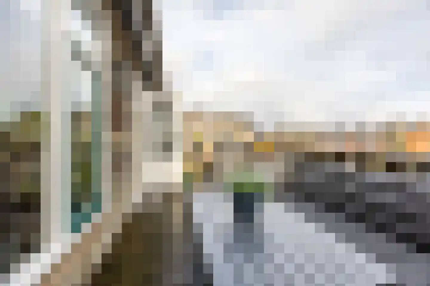 Albion 25 Haarlem thumbnail 17