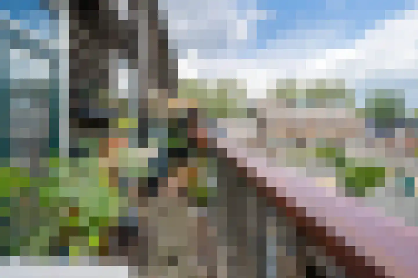 Albion 28 Haarlem thumbnail 21