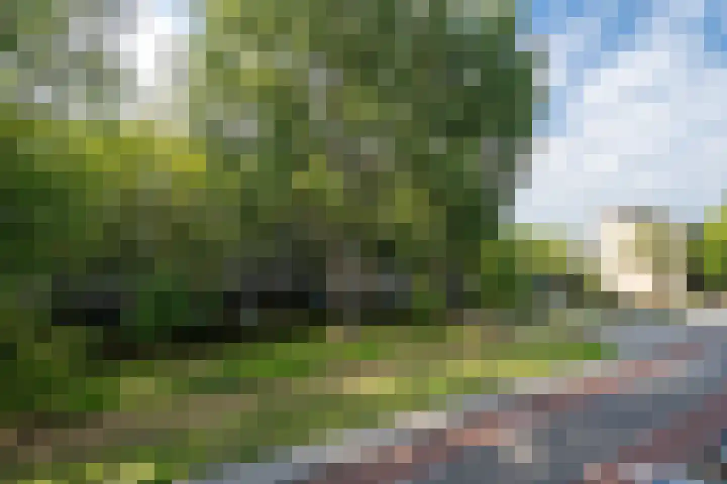 Albion 28 Haarlem thumbnail 51