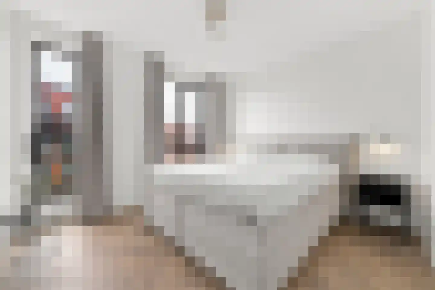 Albionkade 174 Vlissingen thumbnail 18