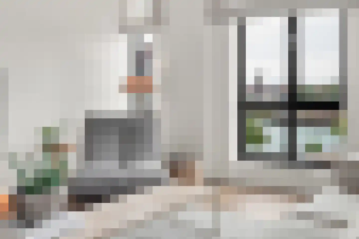 Albionkade 174 Vlissingen thumbnail 5