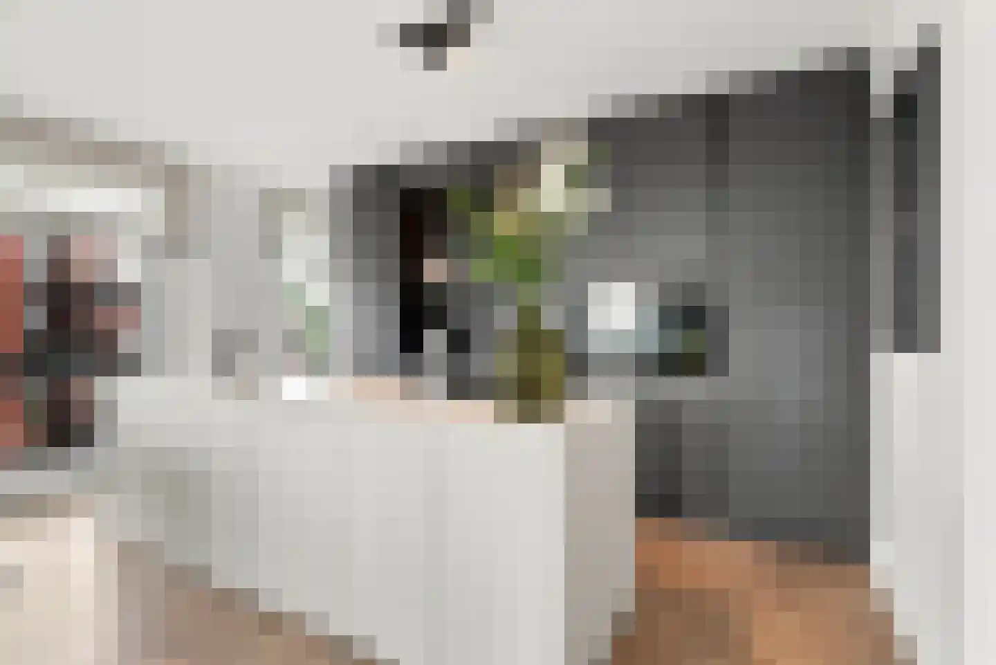 Albionkade 174 Vlissingen thumbnail 8
