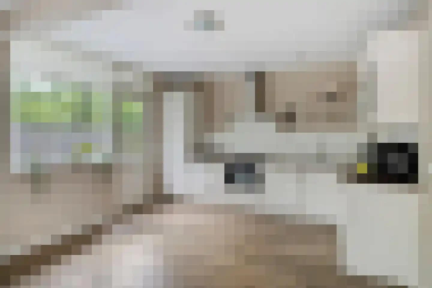 Albionstraat 125 Tilburg thumbnail 15