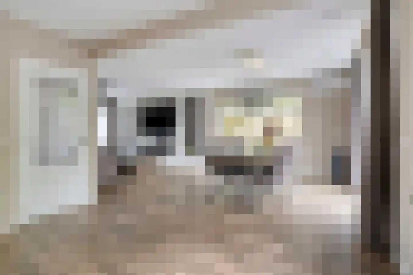 Albionstraat 125 Tilburg thumbnail 16