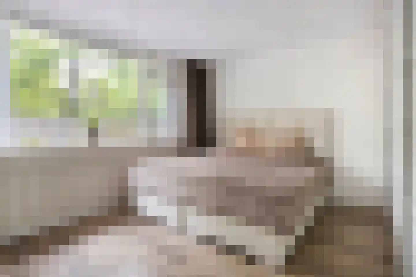 Albionstraat 125 Tilburg thumbnail 18