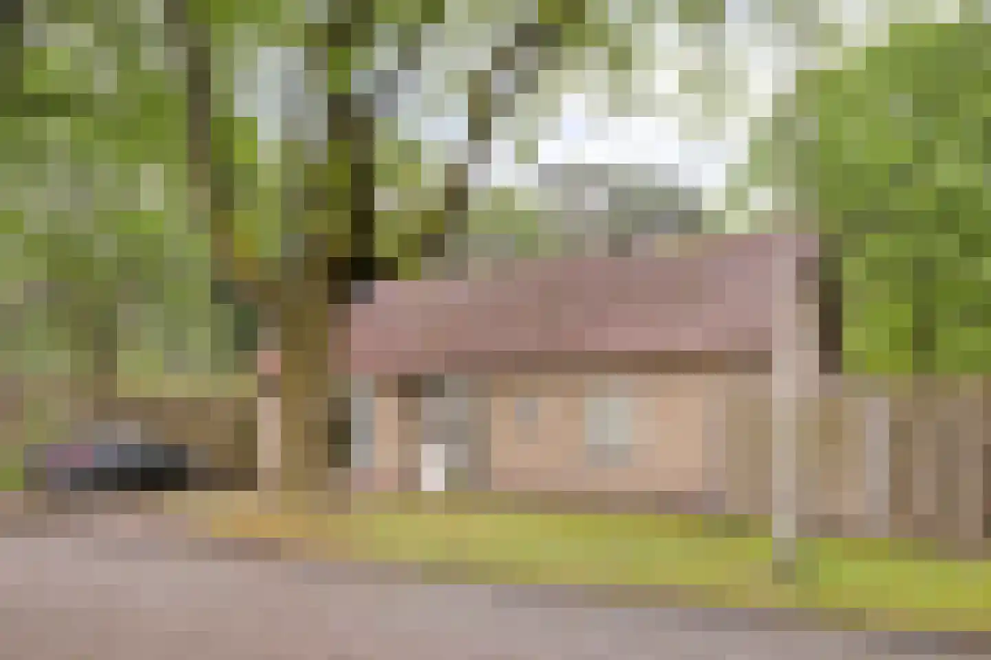 Albionstraat 125 Tilburg thumbnail 4