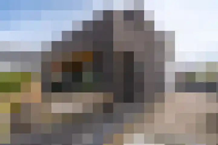 Albionstraat 24 Leunen thumbnail 16