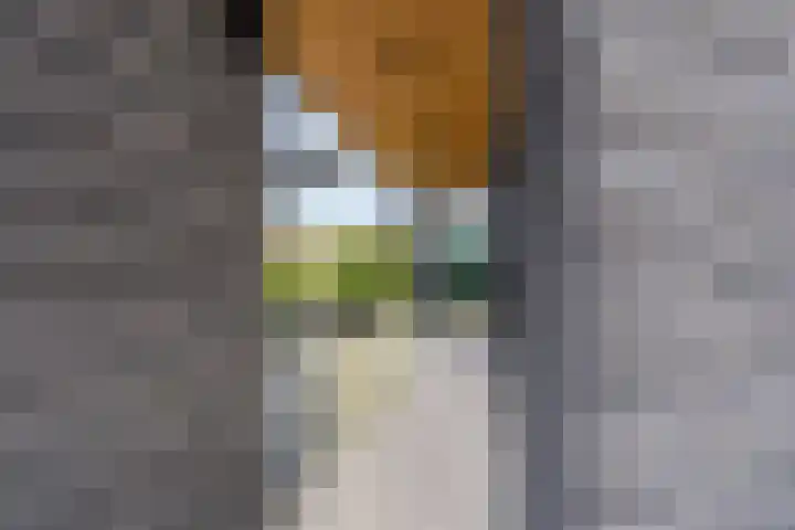 Albionstraat 24 Leunen thumbnail 18